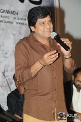 Heart Attack Audio Success Meet